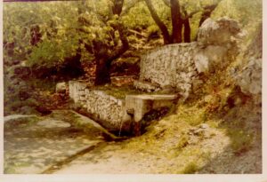 zotalis pantelis 006