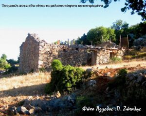 zotalis pantelis 016