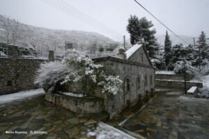 zotalis pantelis 021