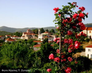 zotalis pantelis 034