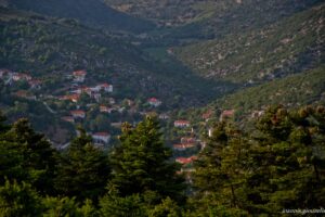giouzelis 004