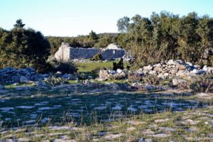 giouzelis 009