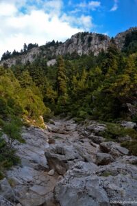 giouzelis 012