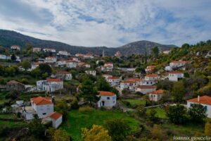 giouzelis 021