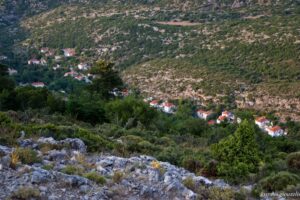 giouzelis 026